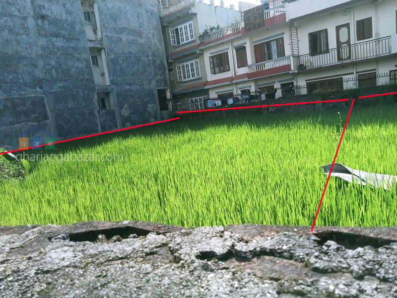 Land on Sale at Sano Bharyang