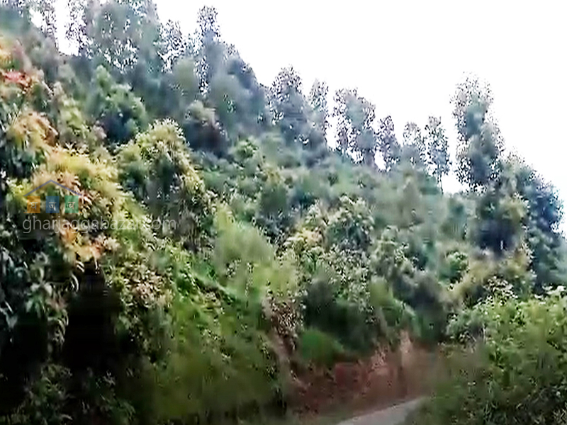 Land on Sale at Dahachowk