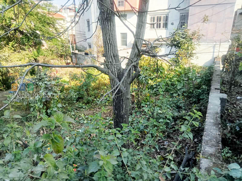 Land on Sale at Chhauni Kimdol