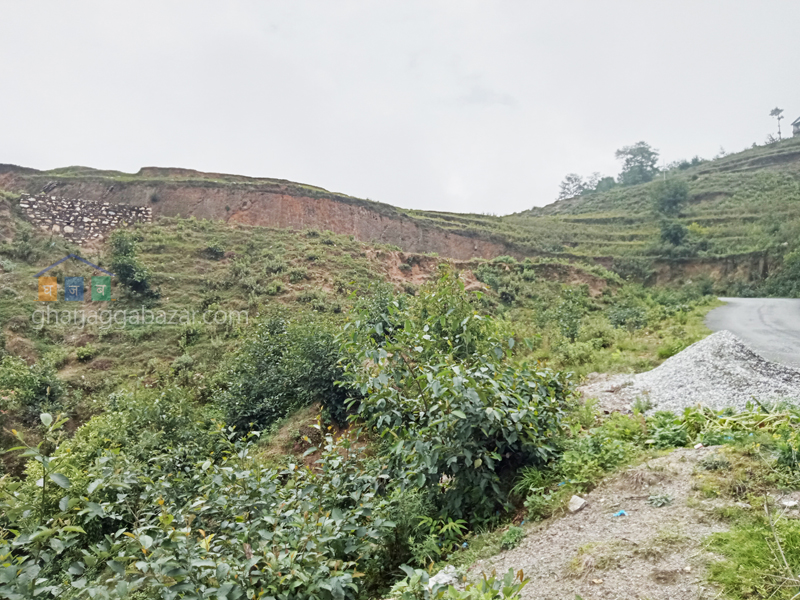 Land on Sale at Kattike Bhanjyang