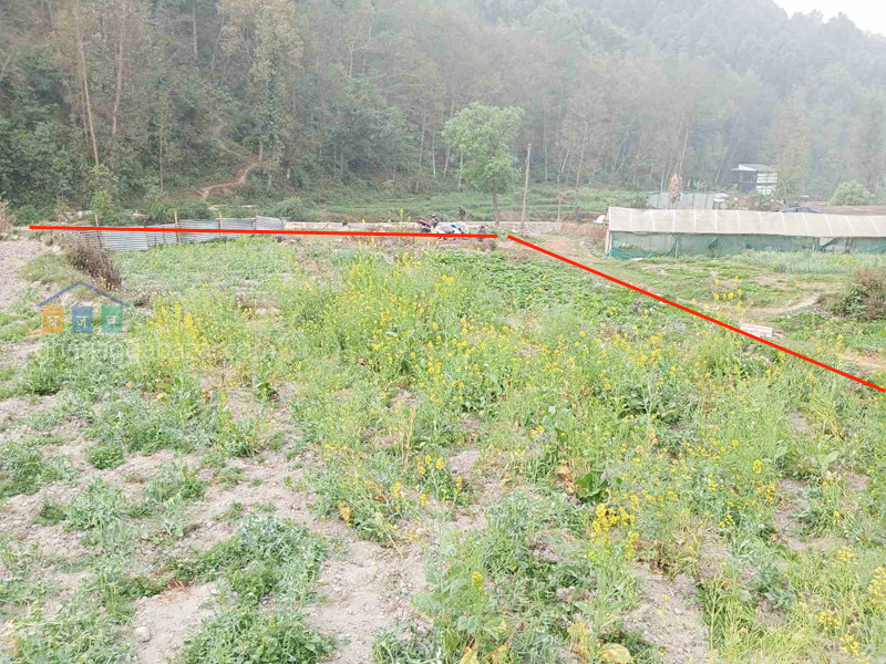 Land on Sale at Narayanthan Wasik  