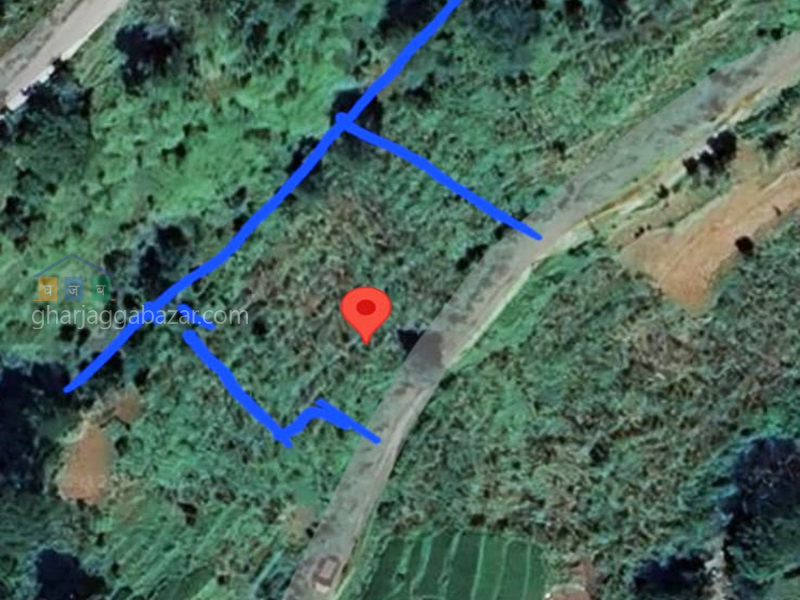 Land on Sale at Chhampi