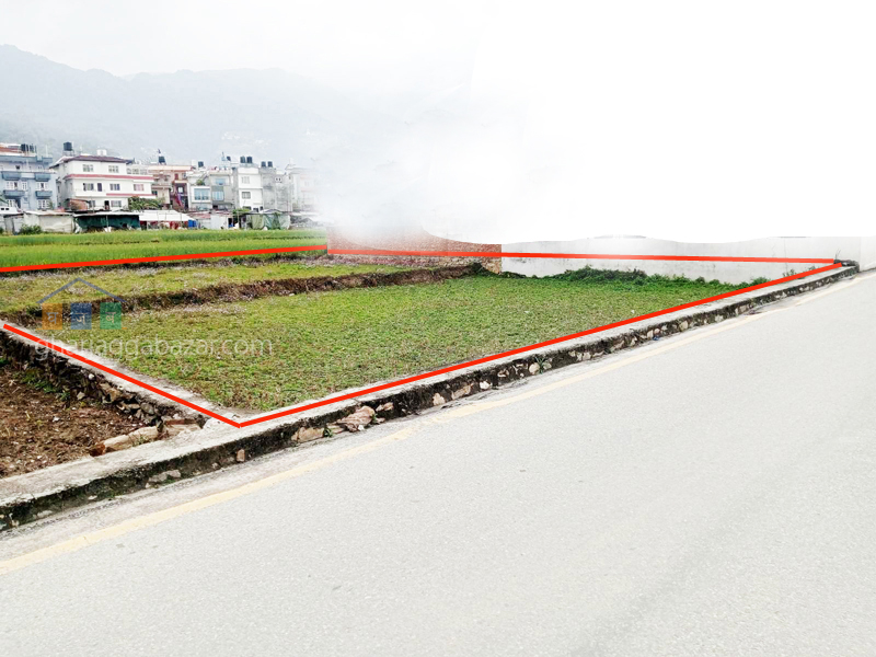 Land on Sale at Pasikot