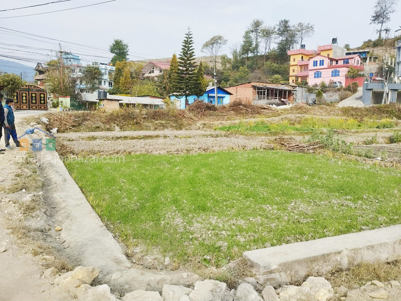 Land on Sale at Sudal