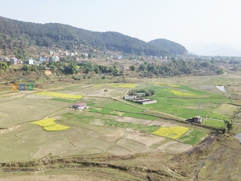 Land on Sale at Pokhara Begnastal