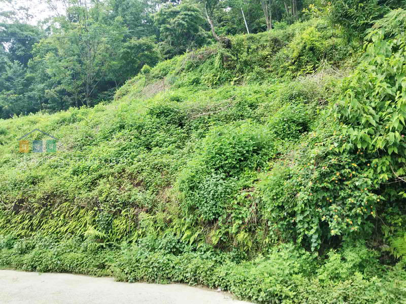 Land on Sale at Narayanthan Height