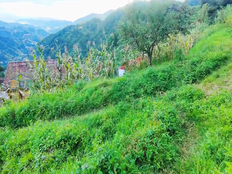 Land for Hotel Resort on Sale at Lakuri Bhanjyang