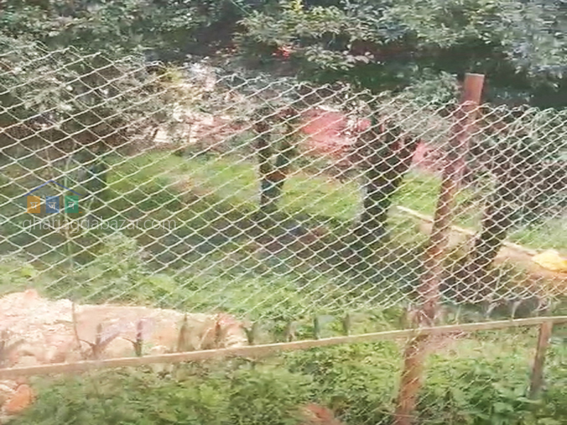 Land on Sale at Dhapakhel