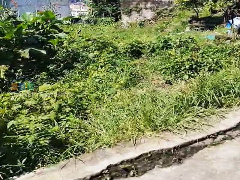 Land on Sale at Maharajgunj