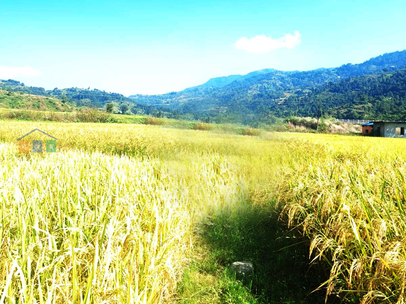 Land on Sale at Kakani Nuwakot