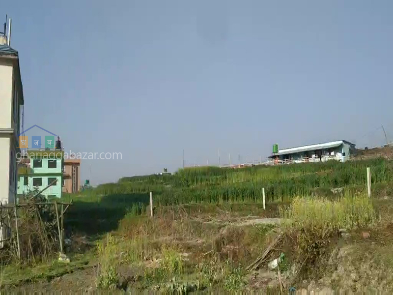 Land on Sale at Narayanthan Wasik