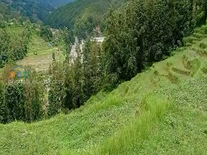 Land for Agriculture at Shivalaya Nuwakot