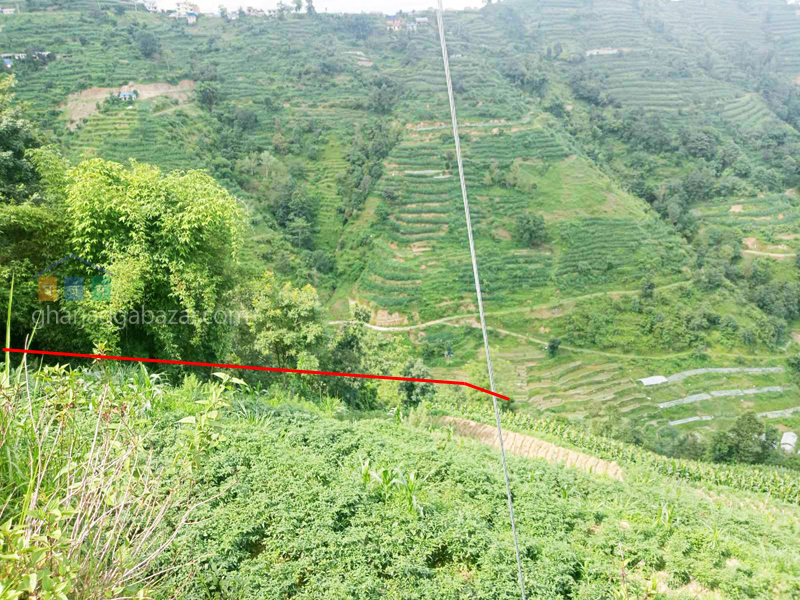 Land on Sale at Dhulikhel Khatrigaun Chapleti