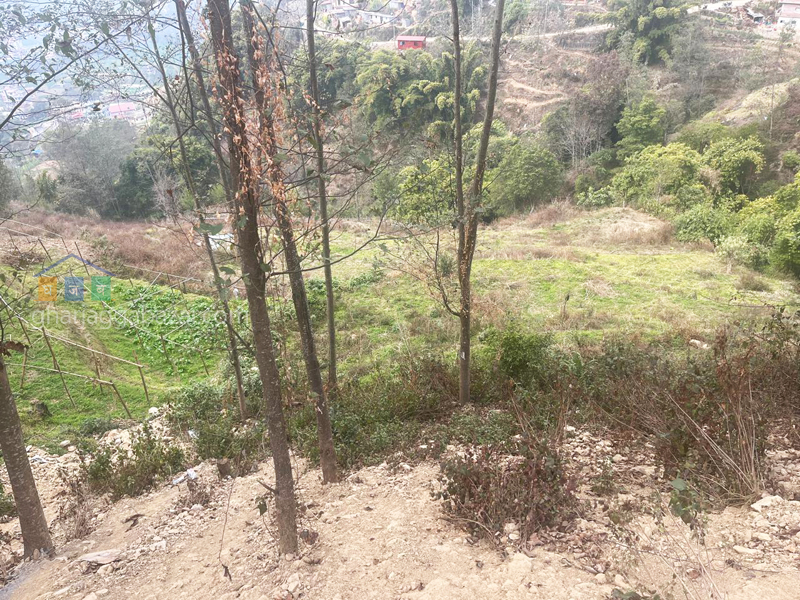 Land for Plotting at Doleswor Ashapur