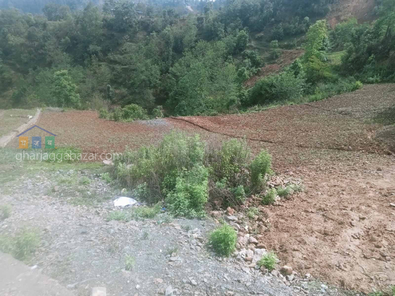 Land on Sale at Chhampi