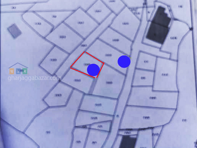 Land on Sale at Pasikot