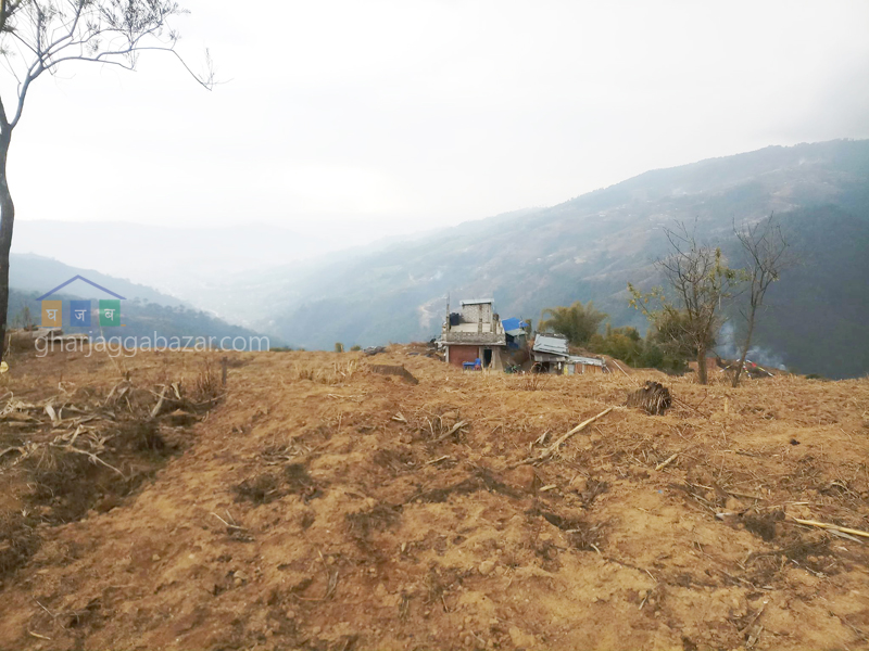 Land on Sale at Jarsing Pauwa