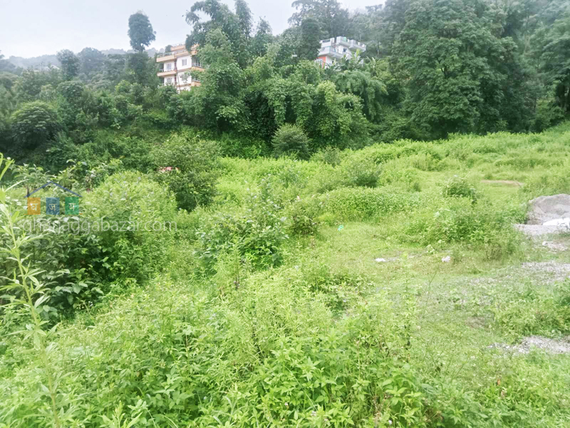 Land on Sale at Narayanthan Bisnumati