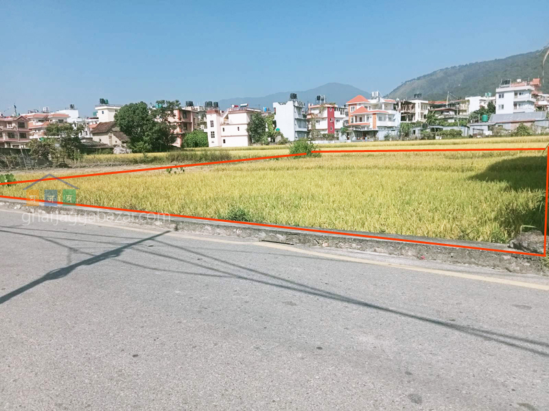 Land on Sale at Pasikot