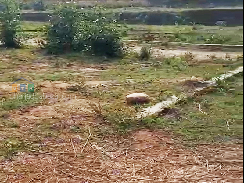 Land on Sale at Badikhel