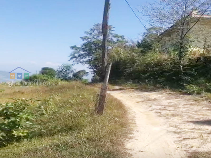 Land on Sale at Jarsing Pauwa