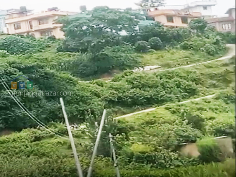 Land on Sale at Chhampi