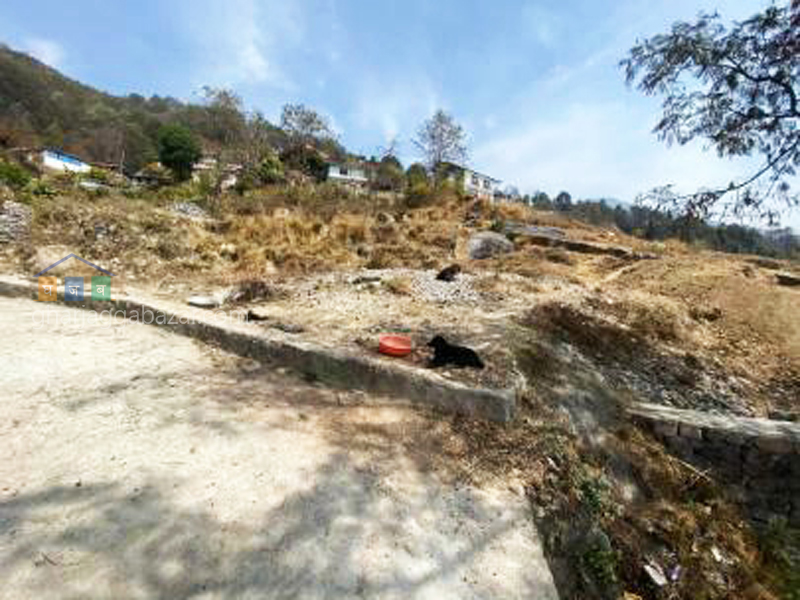 Land on Sale at Narayanthan Height