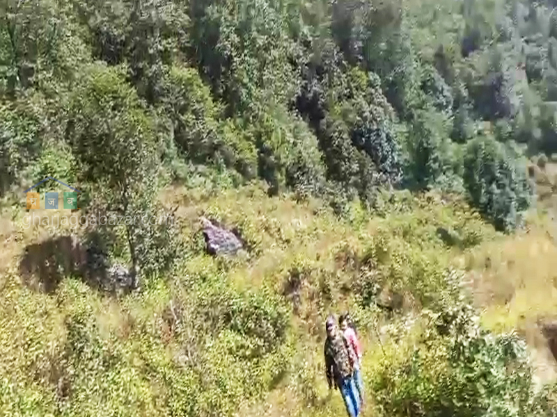 Land on Sale at Nuwakot