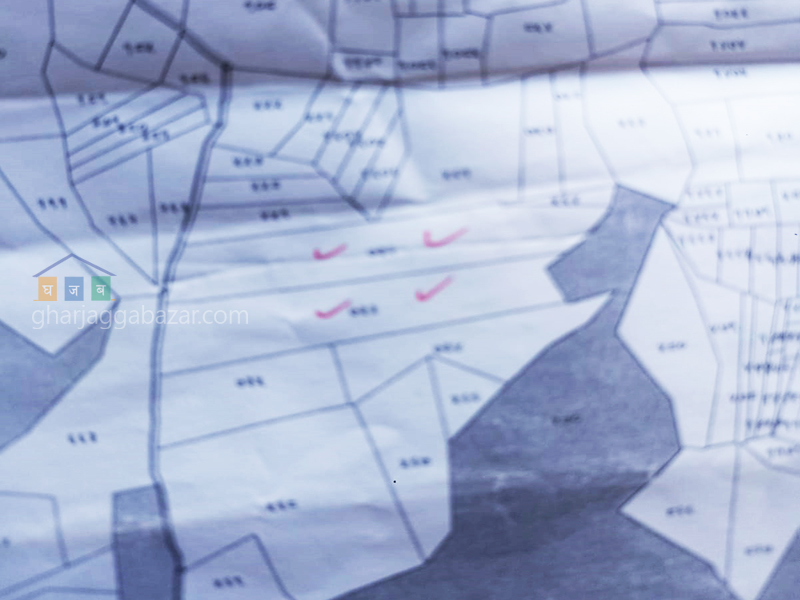 Land on Sale at Chaughada