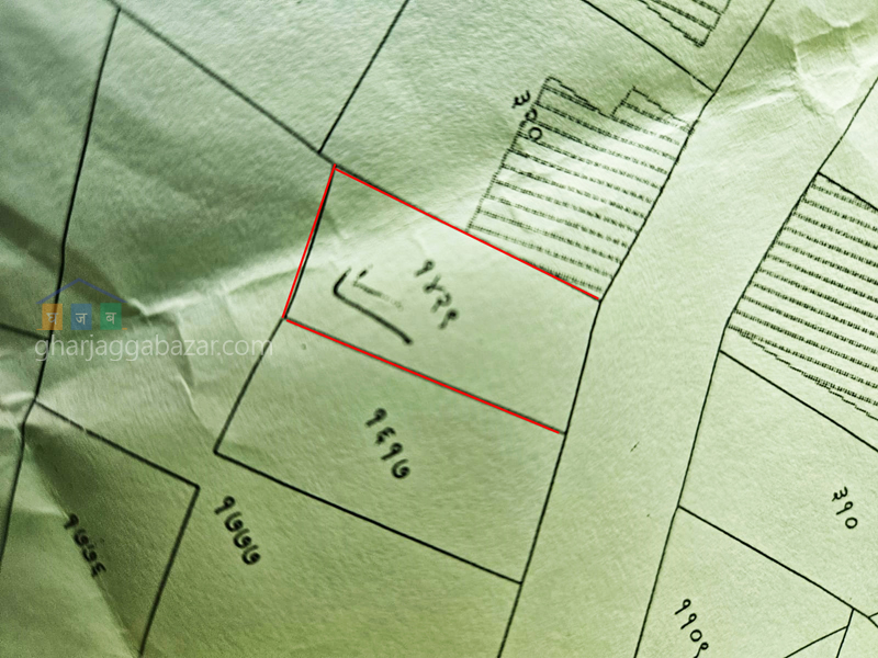 Land on Sale at Khusibu Nayabazar