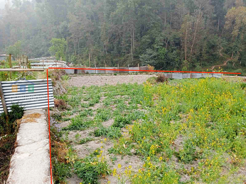 Land on Sale at Narayanthan Wasik  