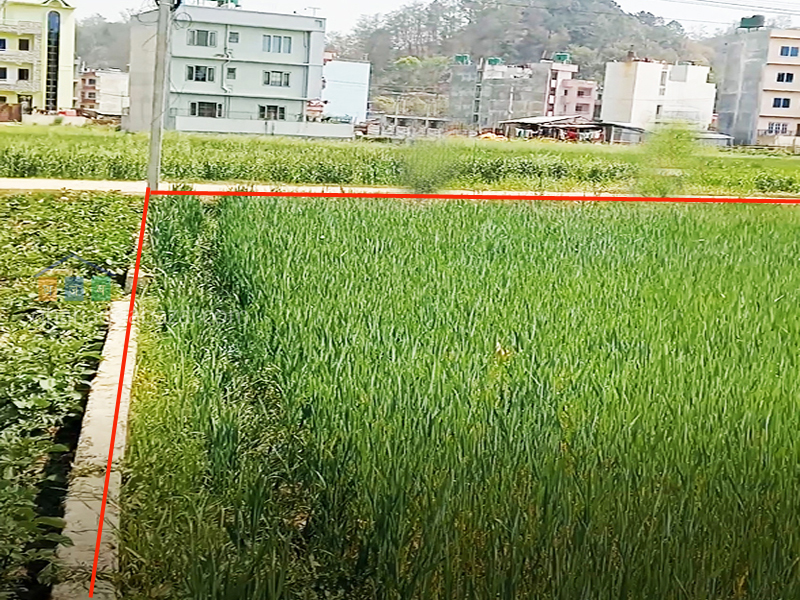 Land on Sale at Mulpani