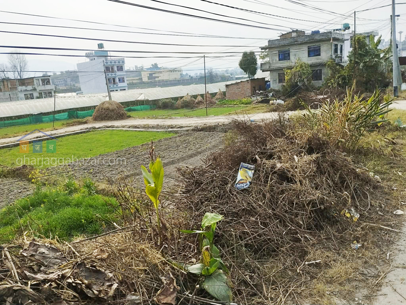 Land on Sale at Sudal