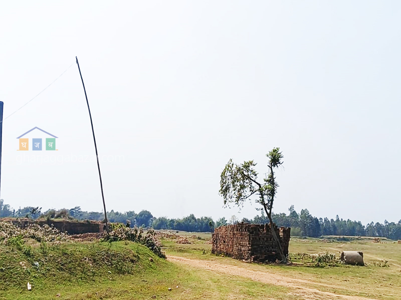 Land on Sale at Biratnagar Lakhantari