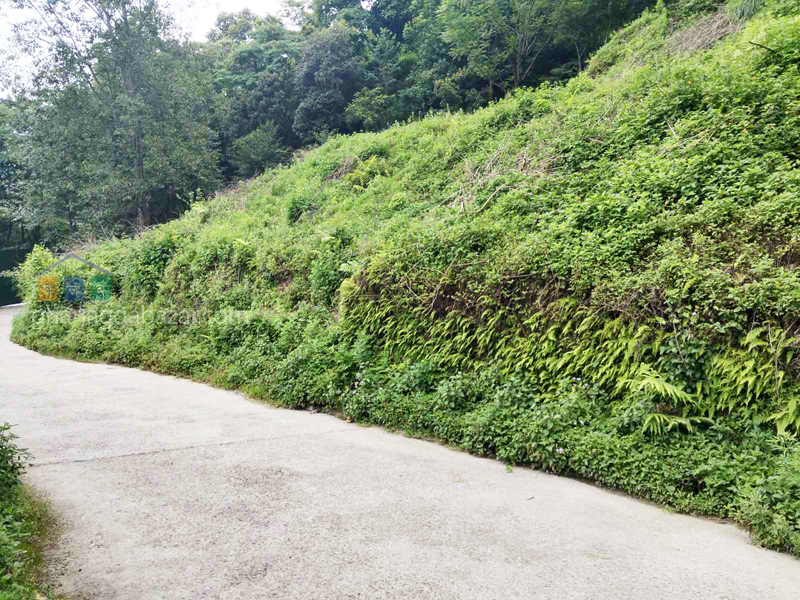 Land on Sale at Narayanthan Height