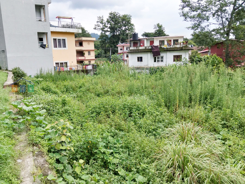 Land on Rent at Narayanthan Bisnumati 