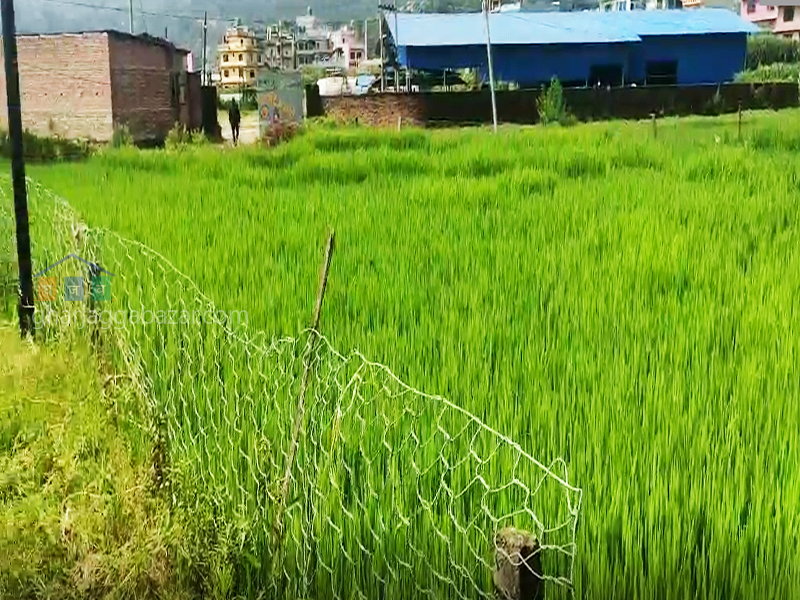 Land on Sale at Banepa