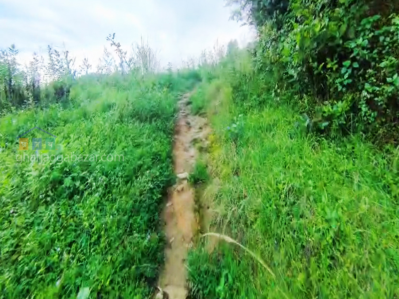 Land for Hotel Resort on Sale at Lakuri Bhanjyang