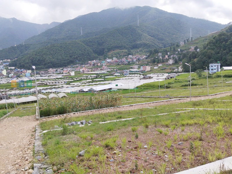 Planning Land on Sale at Thankot Badbhanjyang 