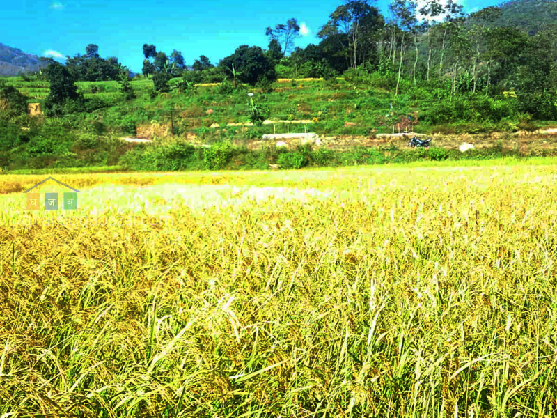 Land on Sale at Kakani Nuwakot