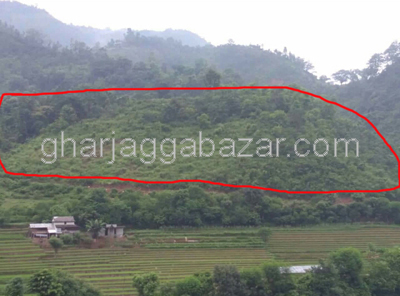 Land on Sale at Chalanghat Charaudi