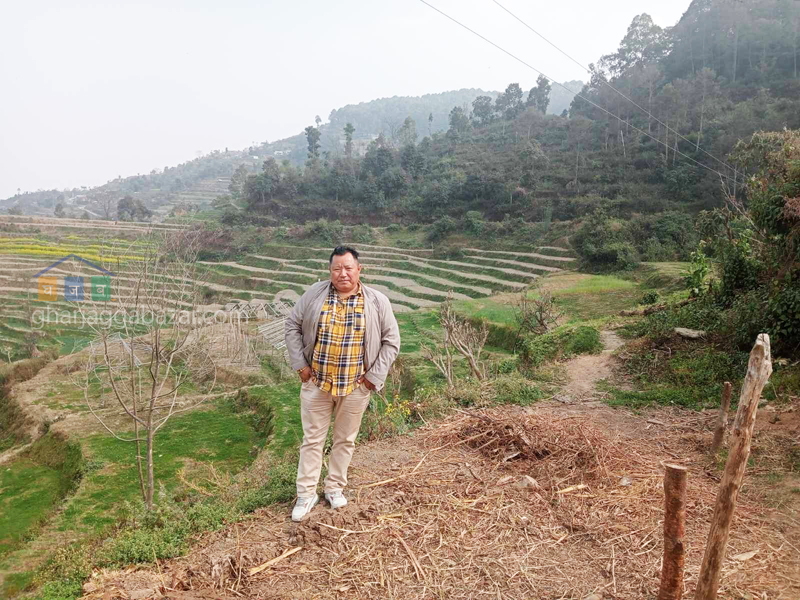 Land for Farming at Nagarkot