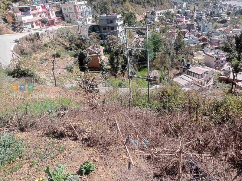 Land on Sale at Purano Naikap