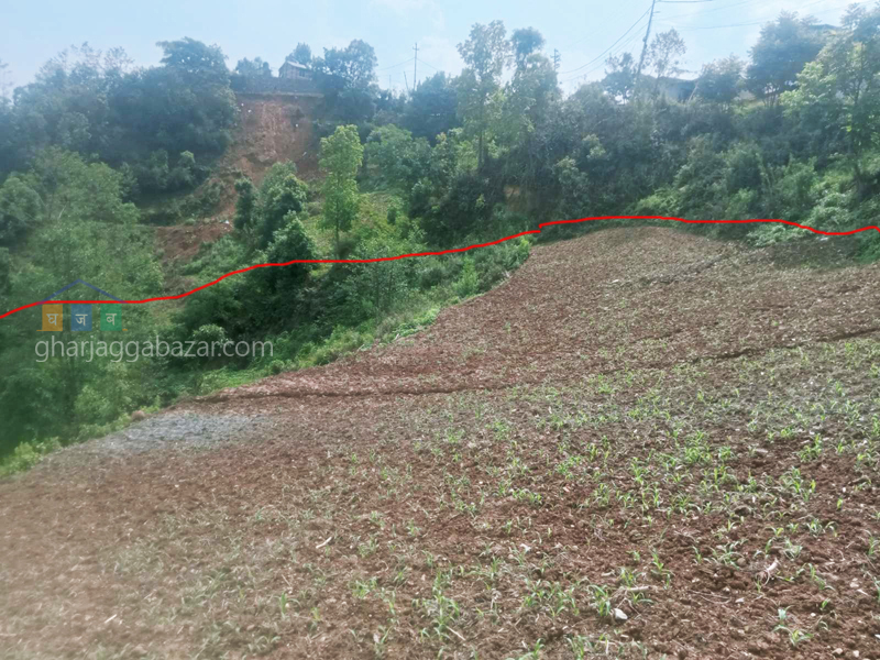 Land on Sale at Chhampi