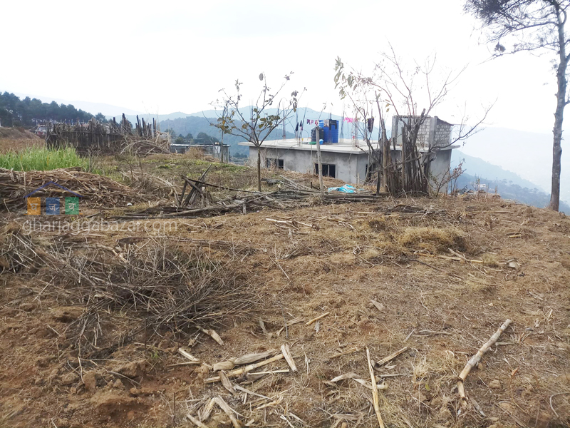 Land on Sale at Jarsing Pauwa