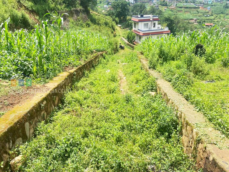 Land on Sale at Chapagaun Muldol 