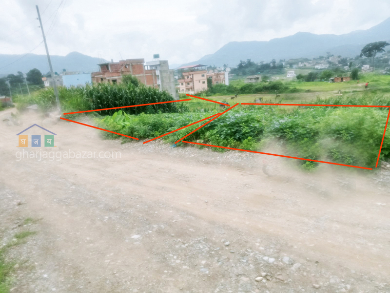 Land on Sale at Thecho