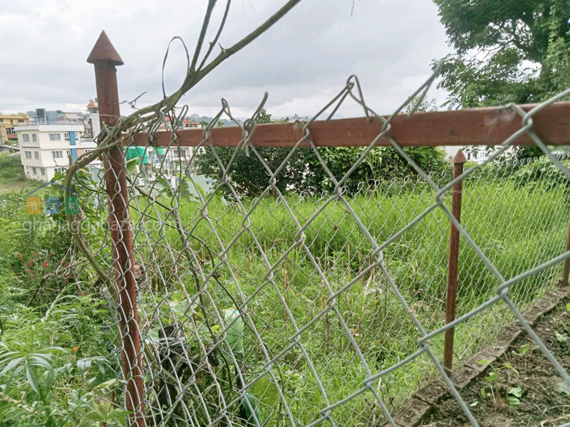 Land on Sale at Mathillo Bhangal