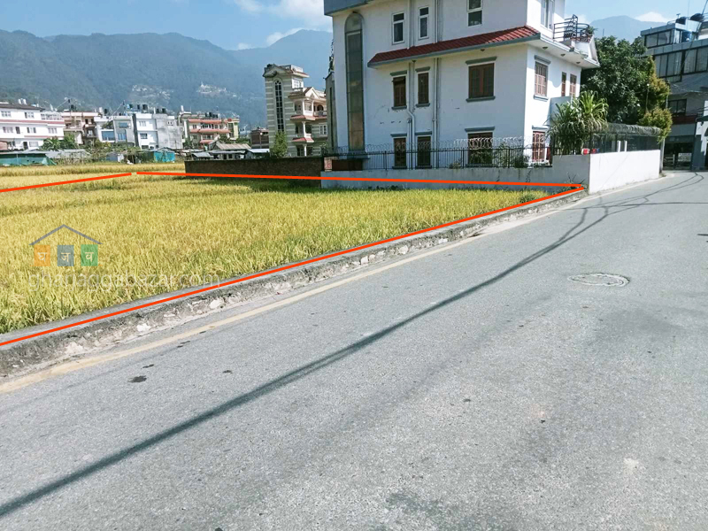 Land on Sale at Pasikot