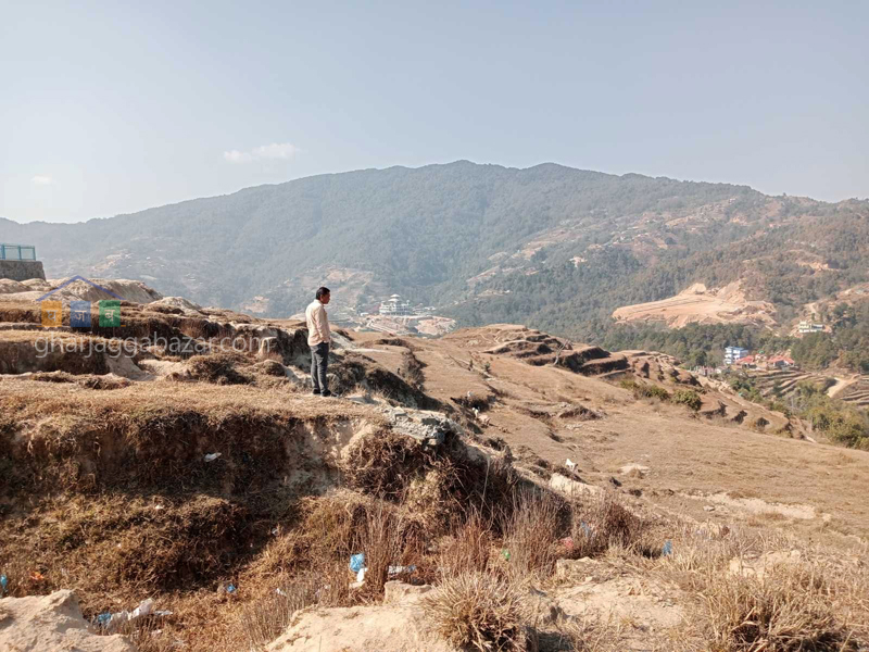 Land on Sale at Jarsing Pauwa